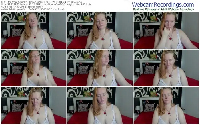 streamate-sinfultitsdd-04-24-2025-02-58-14