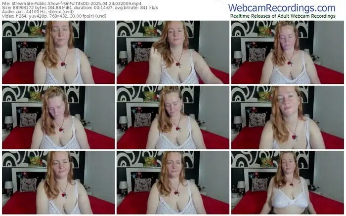 streamate-sinfultitsdd-04-24-2025-03-20-09