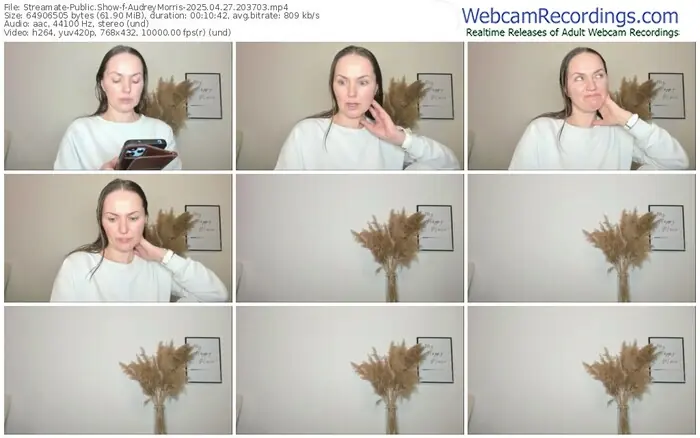 streamate-audreymorris-04-27-2025-20-37-03