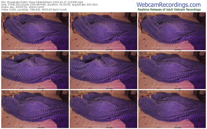 streamate-bambifawn-04-27-2025-21-43-08