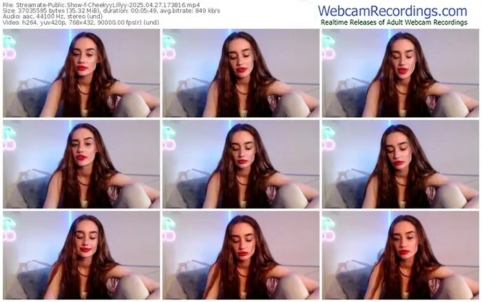 streamate-cheekyylillyy-04-27-2025-17-38-16