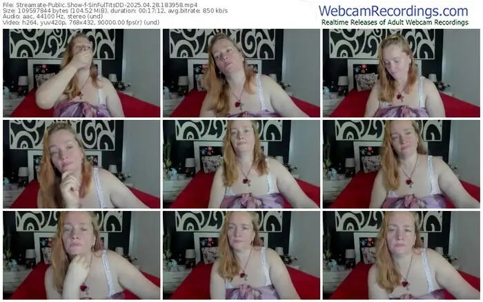 streamate-sinfultitsdd-04-28-2025-18-39-58