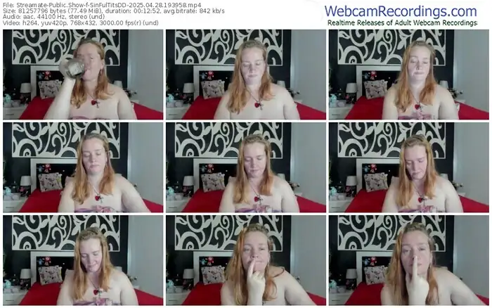 streamate-sinfultitsdd-04-28-2025-19-39-58