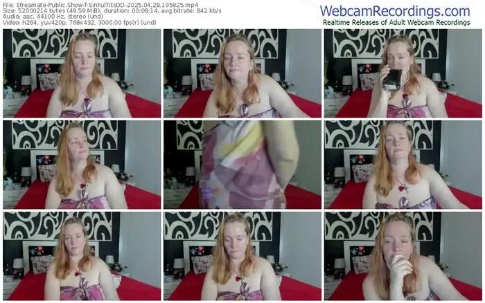 streamate-sinfultitsdd-04-28-2025-19-58-25