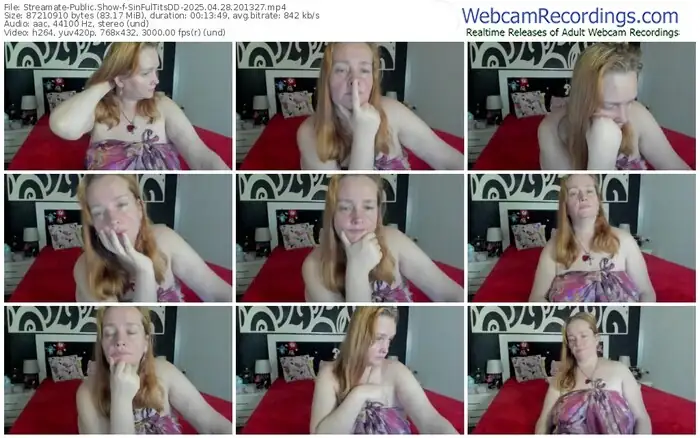 streamate-sinfultitsdd-04-28-2025-20-13-27