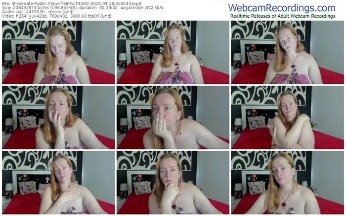 streamate-sinfultitsdd-04-28-2025-20-32-44