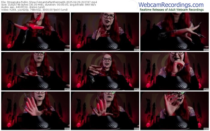 streamate-amanitapantherina69-04-29-2025-21-07-47
