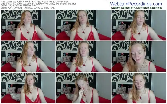 streamate-sinfultitsdd-04-29-2025-07-08-54