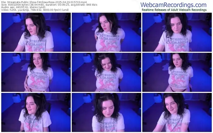 streamate-willowxrose-04-29-2025-01-57-03