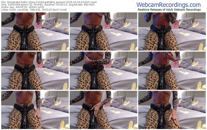 streamate-unforgettable_passion-04-30-2025-02-34-47