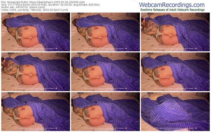 streamate-bambifawn-05-04-2025-20-26-55