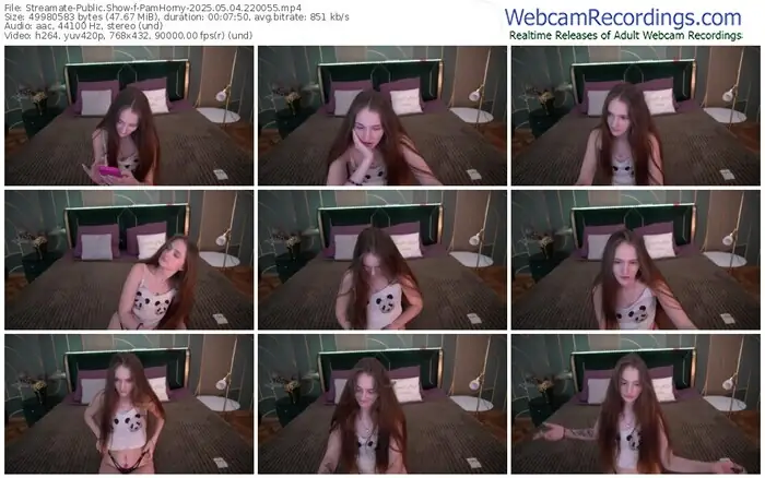 streamate-pamhorny-05-04-2025-22-00-55