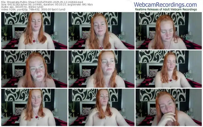 streamate-sinfultitsdd-05-12-2025-16-26-44