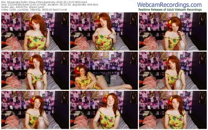 streamate-porcelaindolly-05-13-2025-01-18-00