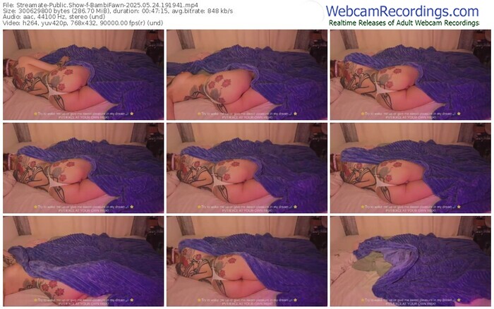 streamate-bambifawn-05-24-2025-19-19-41