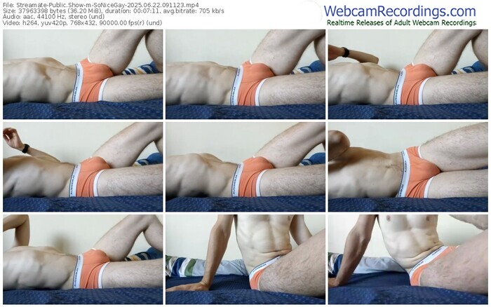 streamate-sonicegay-06-22-2025-09-11-23