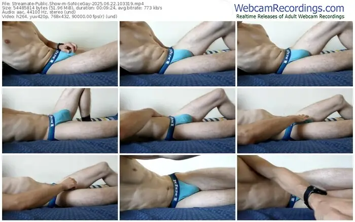 streamate-sonicegay-06-22-2025-10-33-19