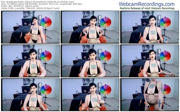 streamate-silverastrain-06-23-2025-06-25-41