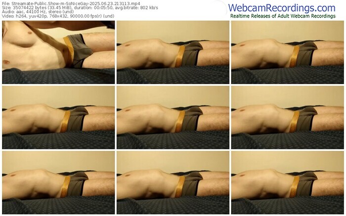 streamate-sonicegay-06-23-2025-21-31-13