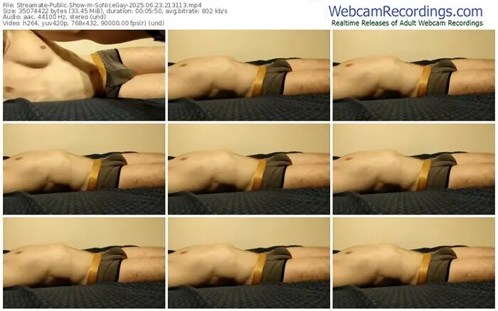 streamate-sonicegay-06-23-2025-21-31-13