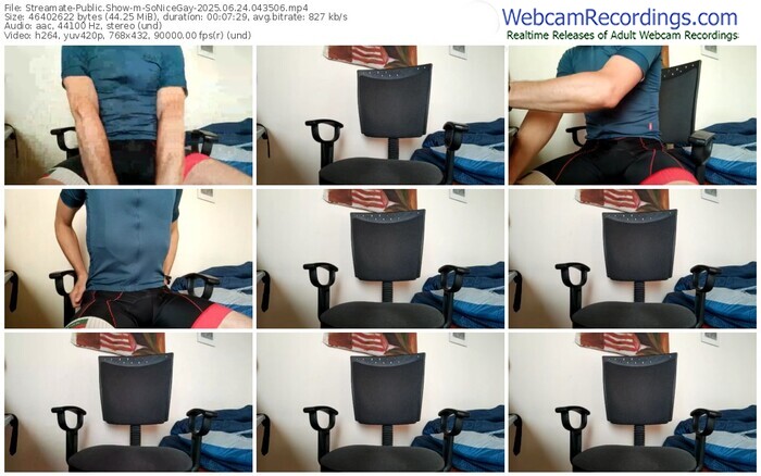 streamate-sonicegay-06-24-2025-04-35-06