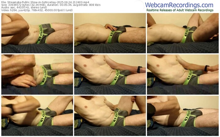 streamate-sonicegay-06-24-2025-21-24-03