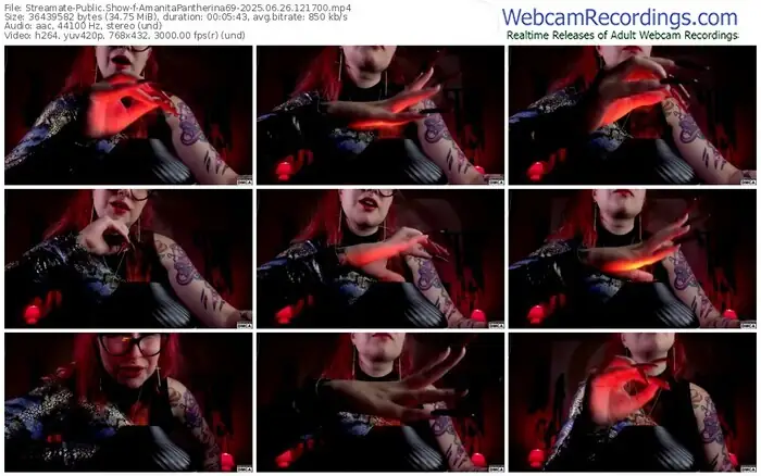 streamate-amanitapantherina69-06-26-2025-12-17-00