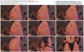 streamate-bambifawn-06-28-2025-03-58-13