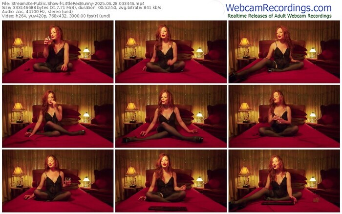 streamate-littleredbunny-06-28-2025-03-34-46