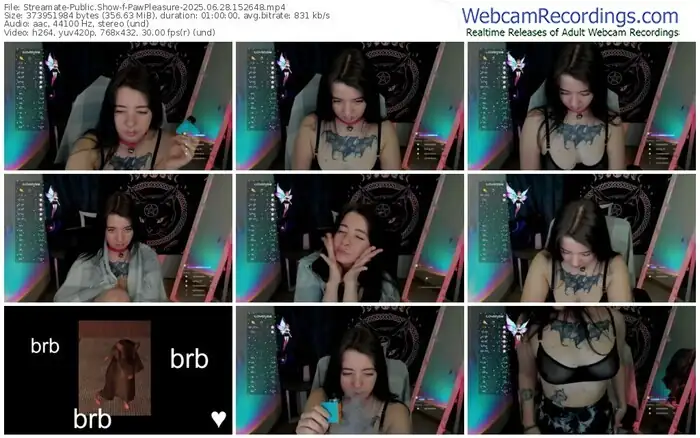 streamate-pawpleasure-06-28-2025-15-26-48