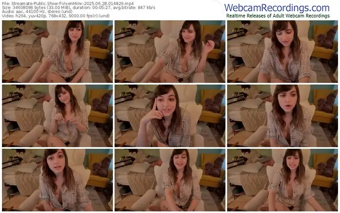 streamate-vixenminx-06-28-2025-01-48-29