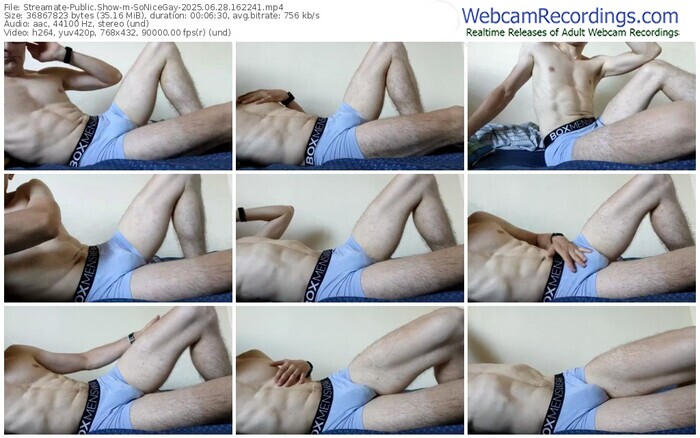 streamate-sonicegay-06-28-2025-16-22-41