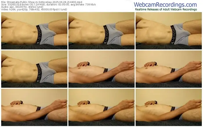 streamate-sonicegay-06-28-2025-21-44-00