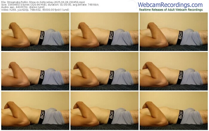 streamate-sonicegay-06-28-2025-23-04-59