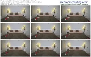 streamate-pamhorny-06-30-2025-01-47-48