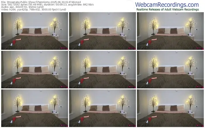 streamate-pamhorny-06-30-2025-01-47-48