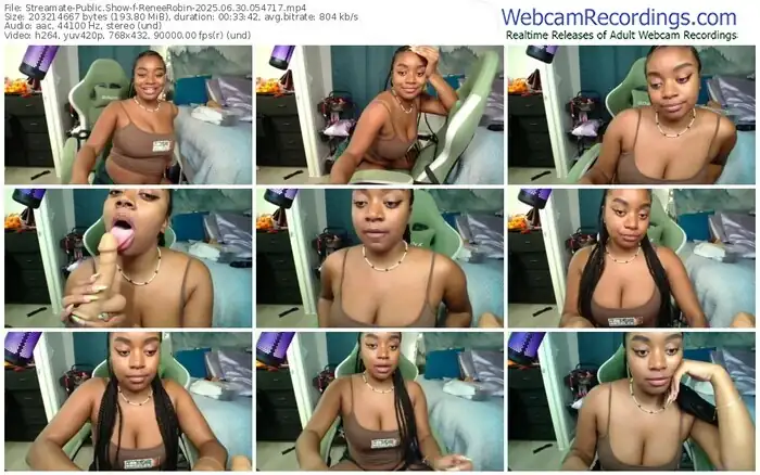 streamate-reneerobin-06-30-2025-05-47-17