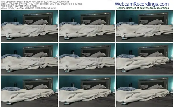 streamate-kayleekey-07-02-2025-20-43-08
