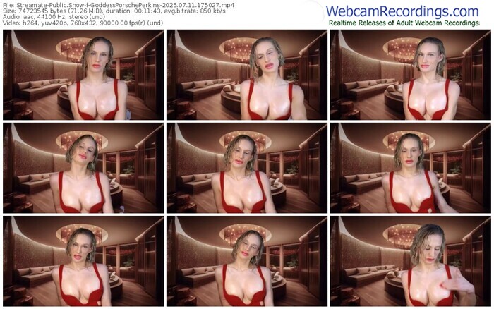 streamate-goddessporscheperkins-07-11-2025-17-50-27