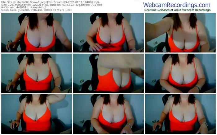 streamate-ladyofyourdreams19-07-11-2025-10-48-26