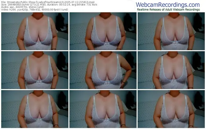 streamate-ladyofyourdreams19-07-12-2025-21-58-13