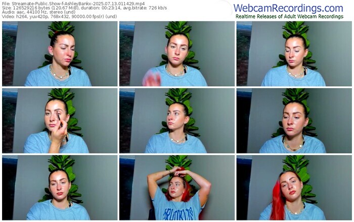 streamate-ashleybankx-07-13-2025-01-14-29