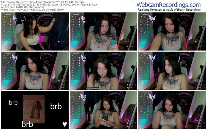 streamate-pawpleasure-07-13-2025-14-11-01
