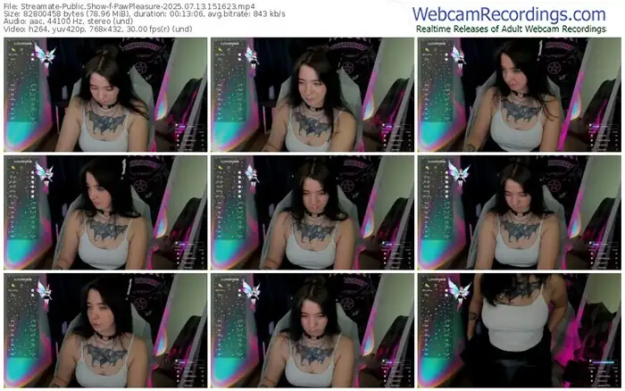 streamate-pawpleasure-07-13-2025-15-16-23