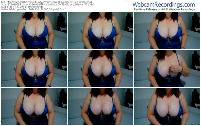 streamate-ladyofyourdreams19-07-14-2025-19-22-06