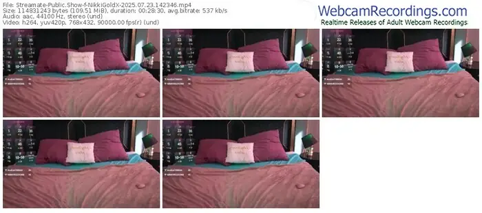 streamate-nikkigoldx-07-23-2025-14-23-46