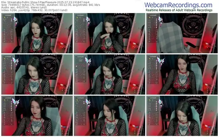 streamate-pawpleasure-07-23-2025-19-18-47