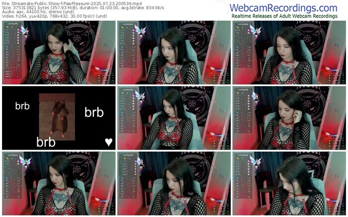 streamate-pawpleasure-07-23-2025-20-05-39