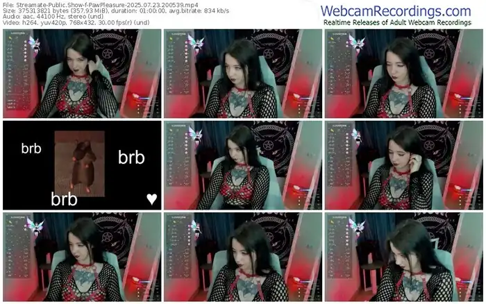 streamate-pawpleasure-07-23-2025-20-05-39