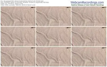 streamate-icedanielles-07-24-2025-16-20-29